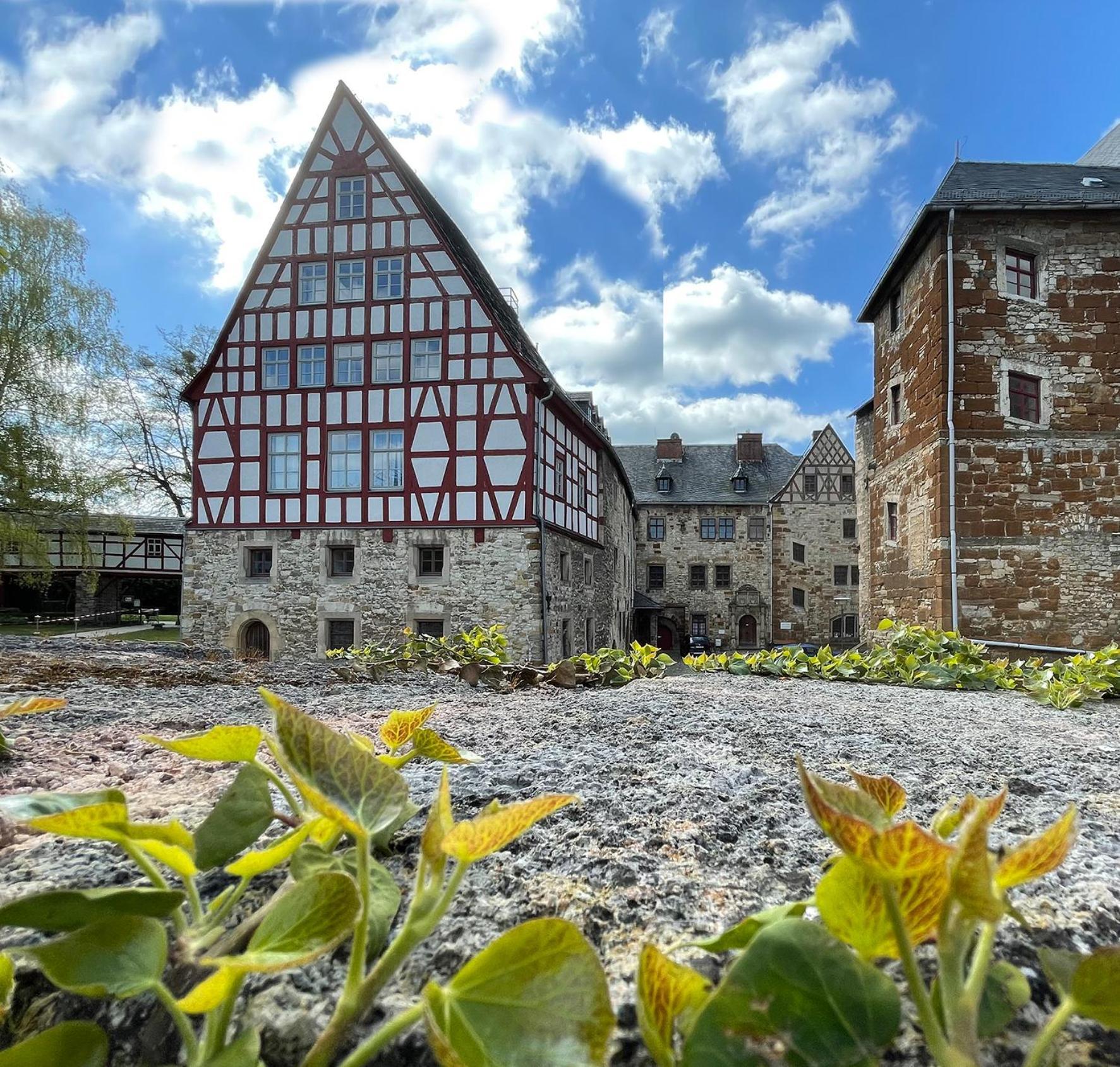 Schloss Beichlingen Kültér fotó