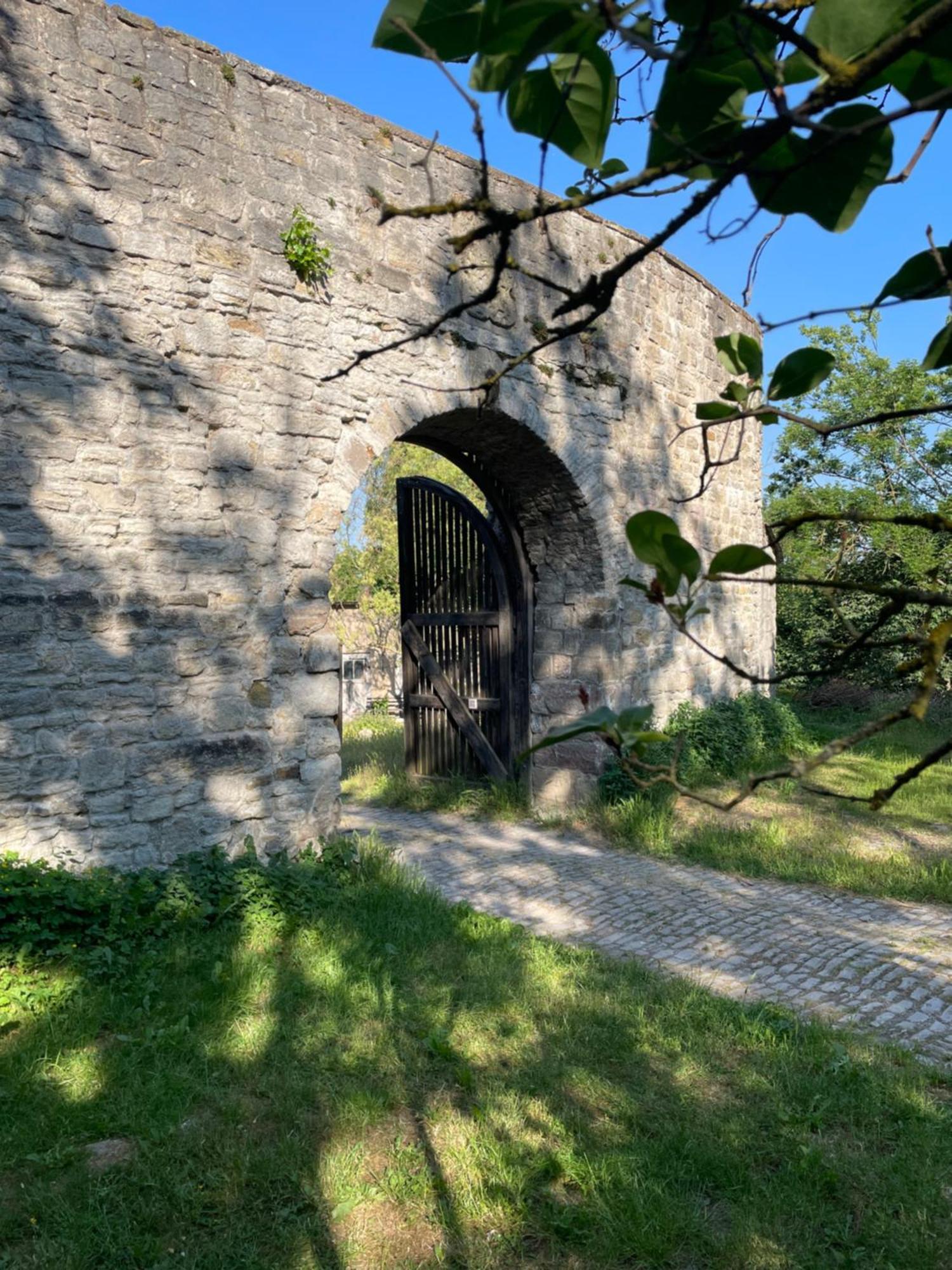 Schloss Beichlingen Kültér fotó