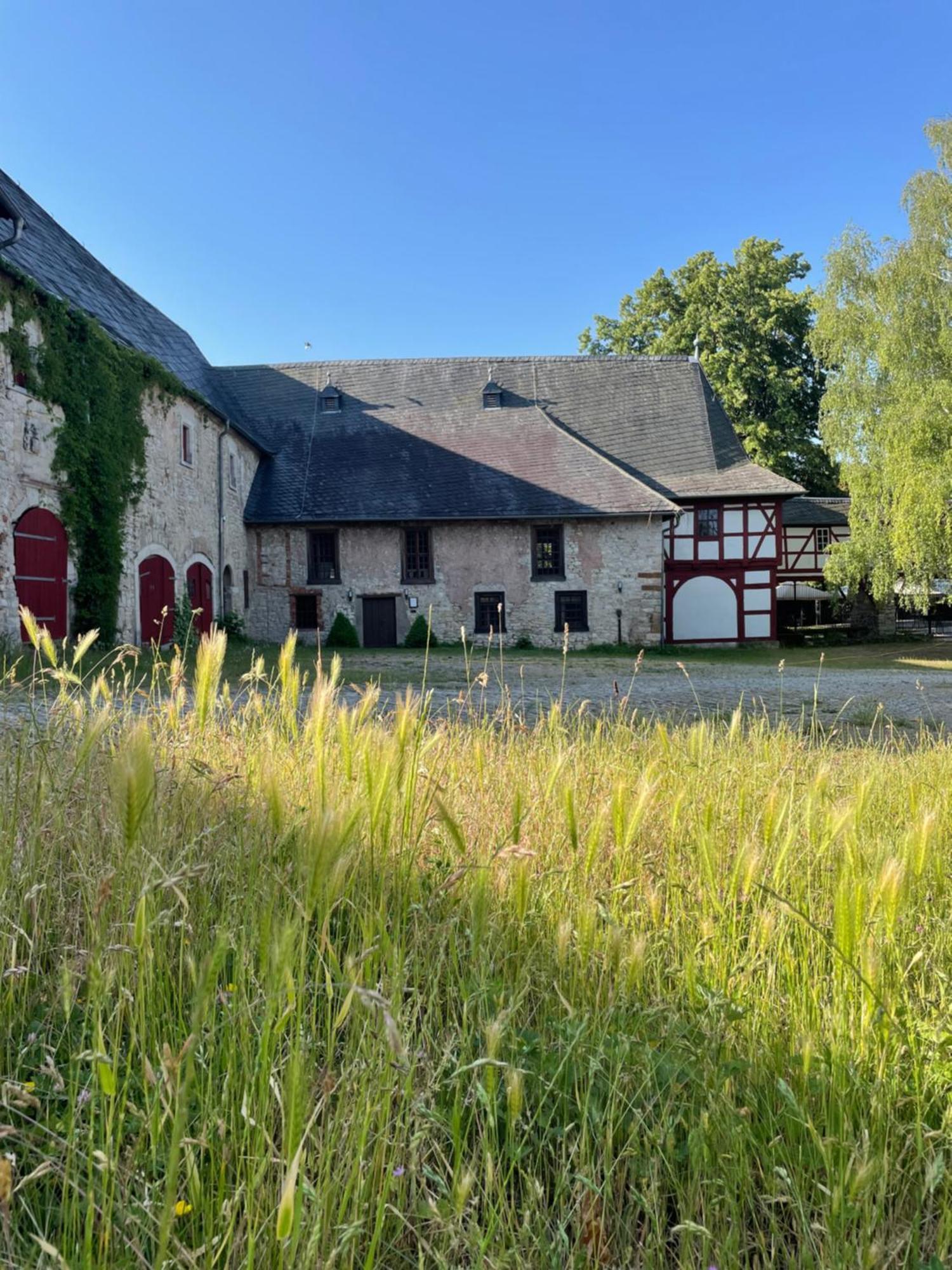 Schloss Beichlingen Kültér fotó