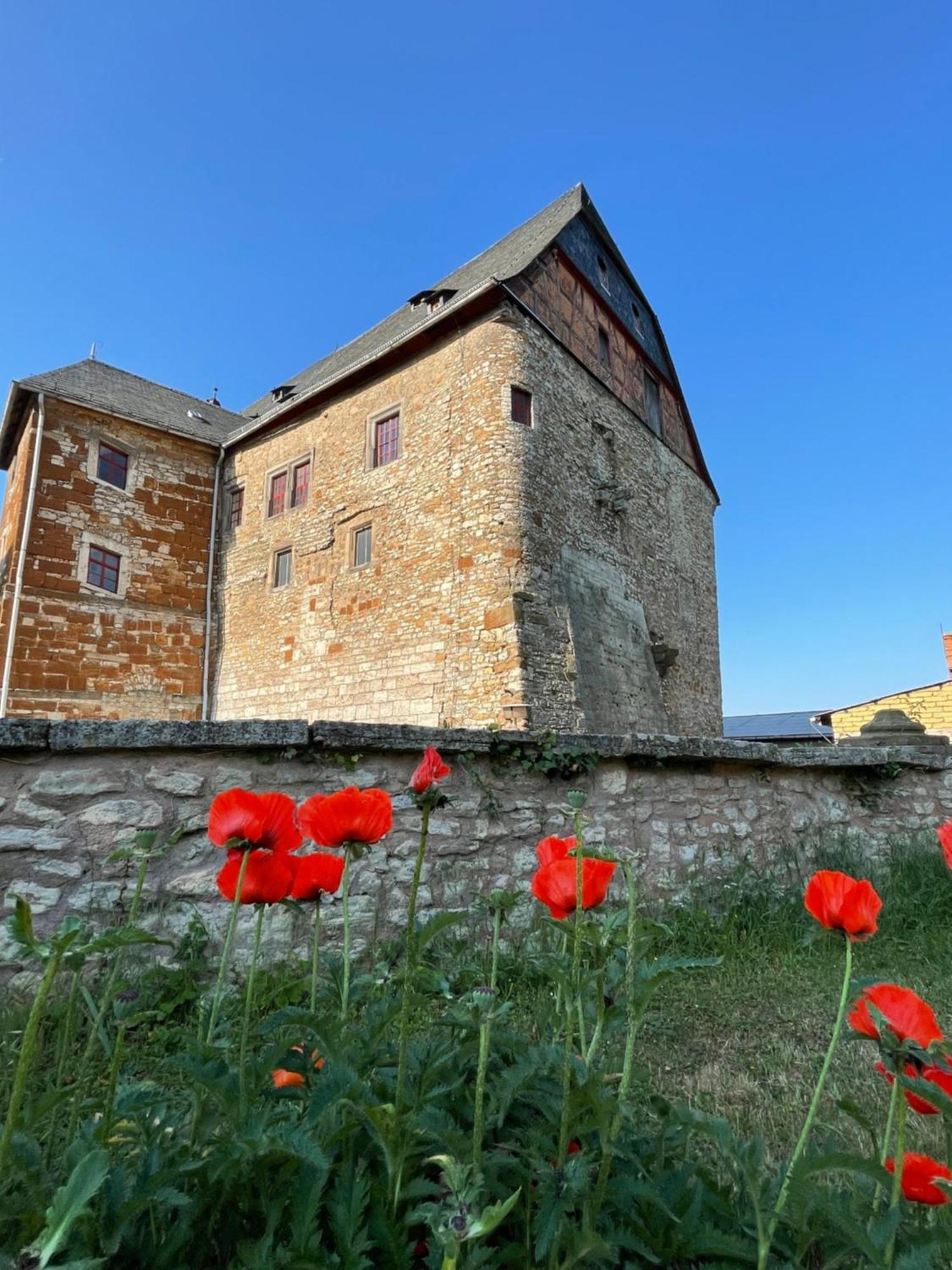 Schloss Beichlingen Kültér fotó