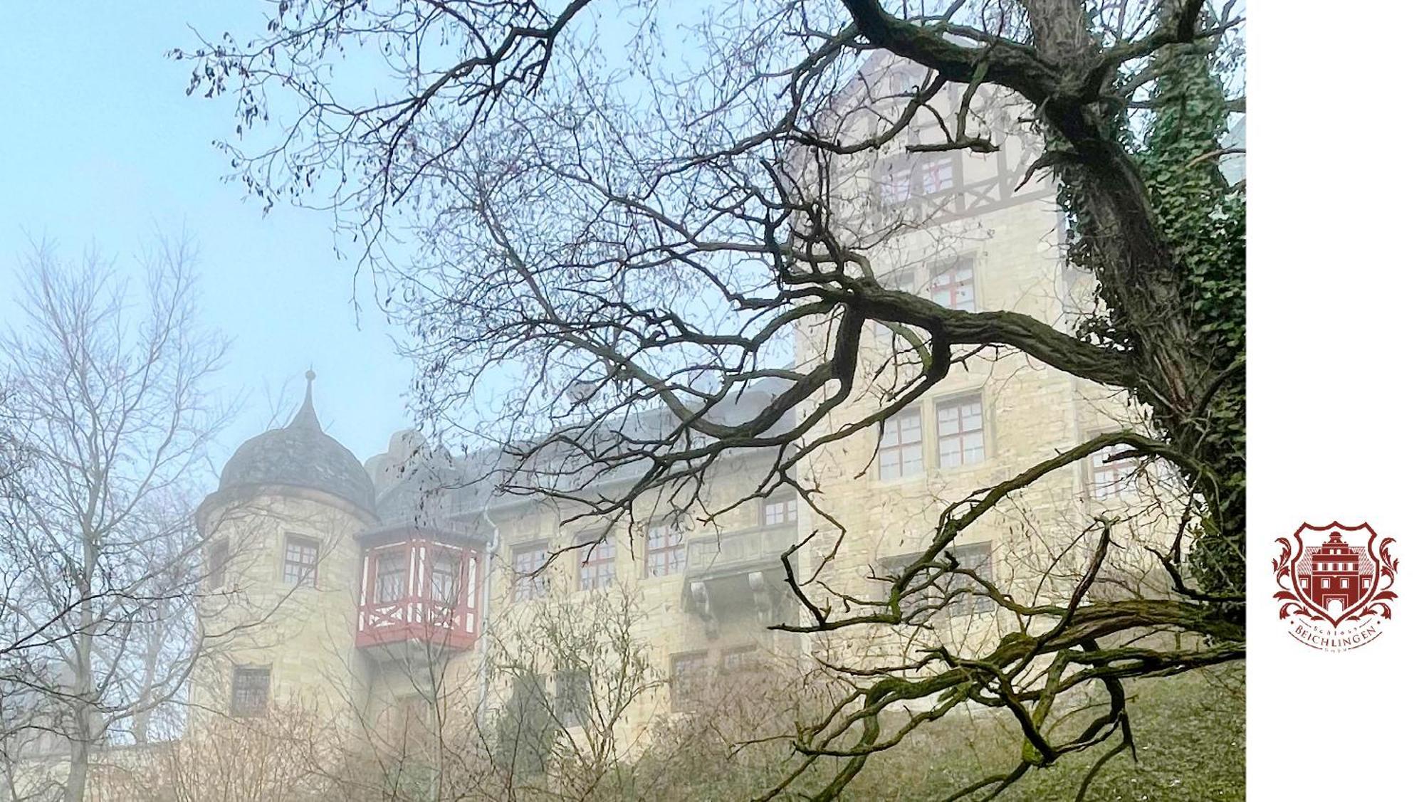 Schloss Beichlingen Kültér fotó