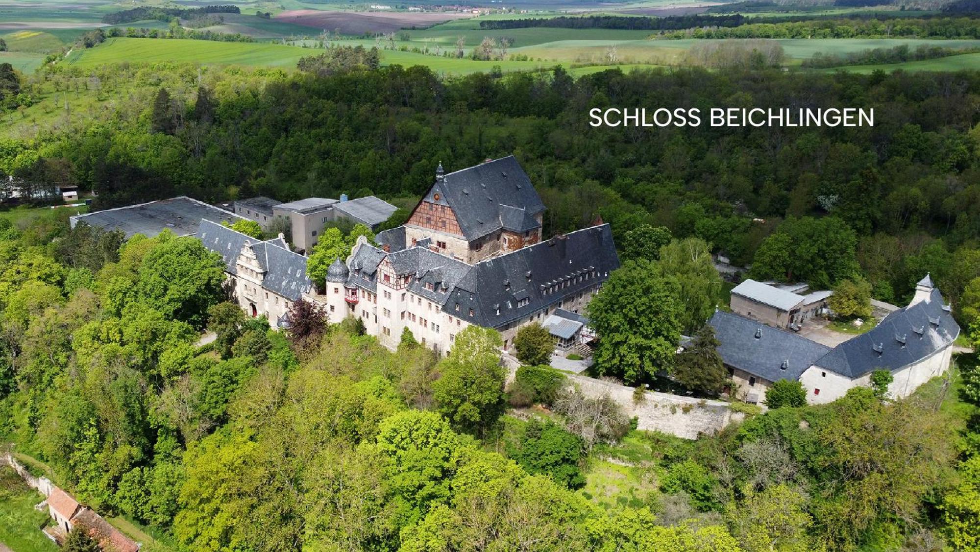Schloss Beichlingen Kültér fotó